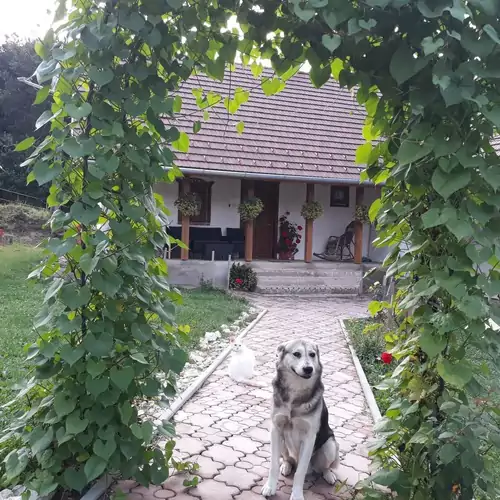 Pagony Pihenő Farm Orfalu 006 kép