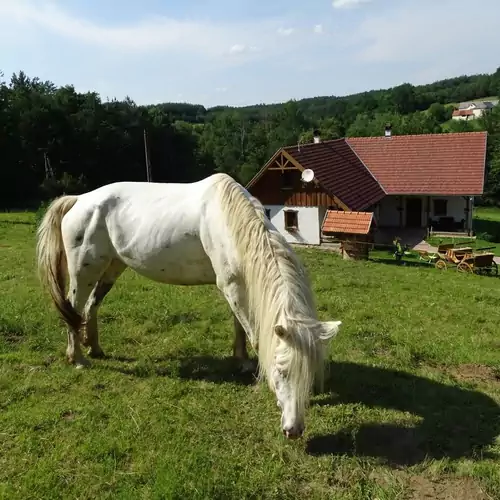 Pagony Pihenő Farm Orfalu 020 kép