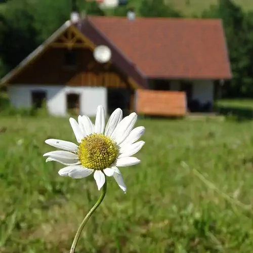 Pagony Pihenő Farm Orfalu 025 kép