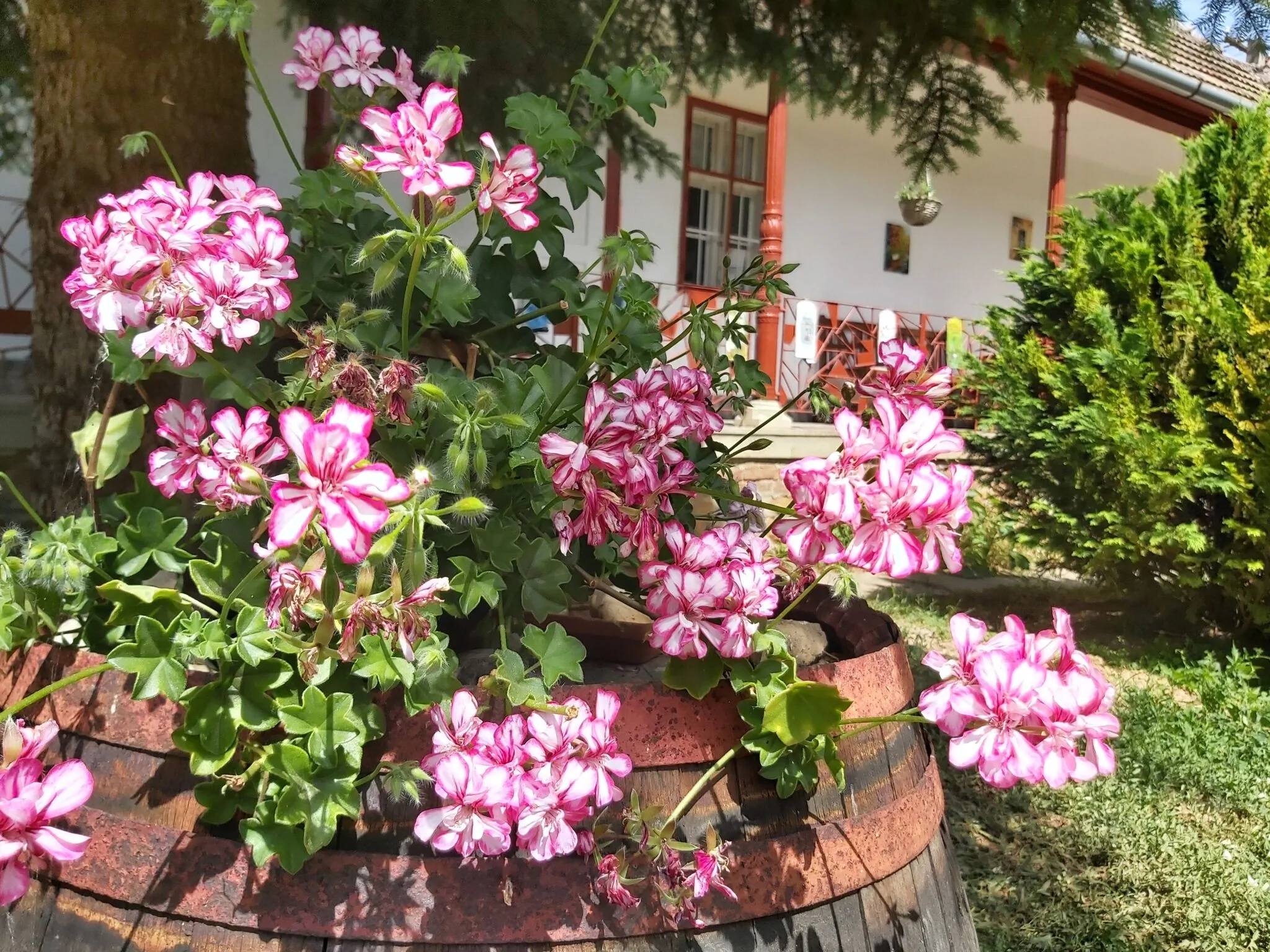 Pitypang Vendégház Szálka