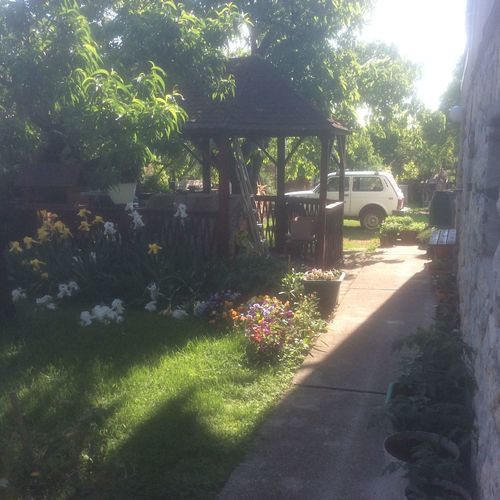 Vadvirág Apartman Balatonakali  4