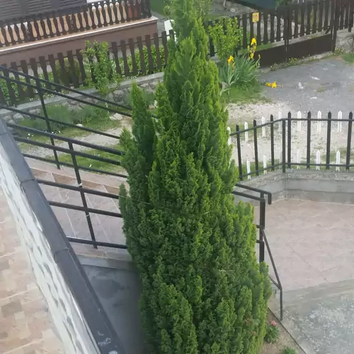 B&B Apartman Igal 006 kép