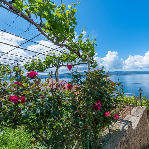 Apartments Jasna Omis  2