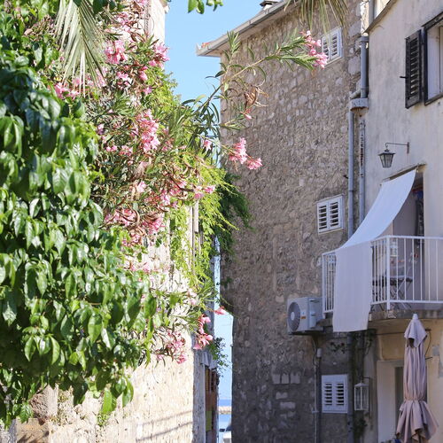 Apartmanok A Tenger Mellett Trpanj, Peljesac - 9487 Trpanj  4