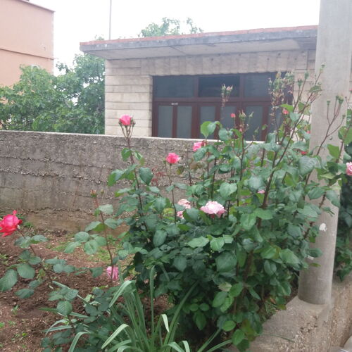 Apartmanok és Szobák A Tenger Mellett Sucuraj, Hvar - 12887 Sućuraj  4