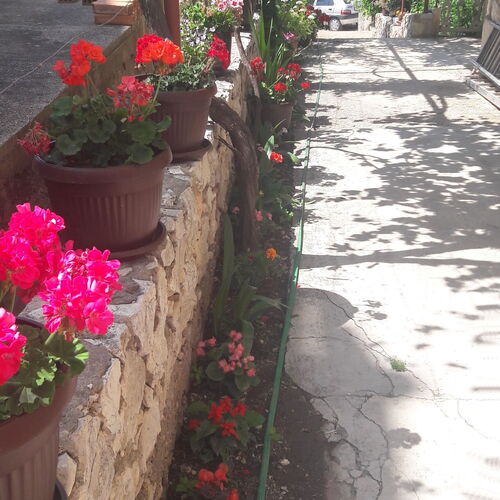 Apartmanok Parkolóhellyel Grebastica, Sibenik - 13365 Grebaštica  3