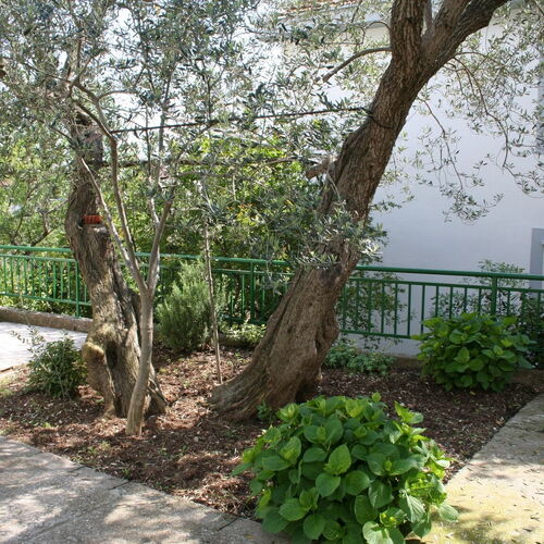 Apartmanok és Szobák A Tenger Mellett Zaostrog, Makarska - 2661 Zaostrog  3