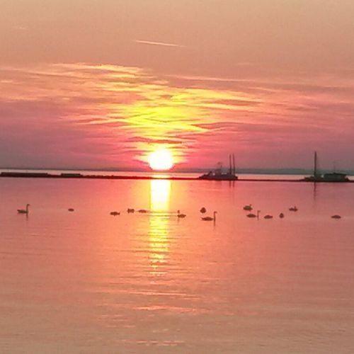 Somogyi Apartmanház Balatonfenyves  2