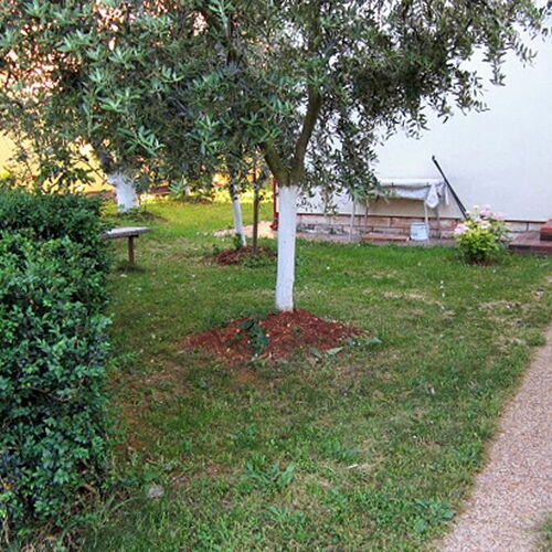 Apartmanok Parkolóhellyel Umag - 6994  3