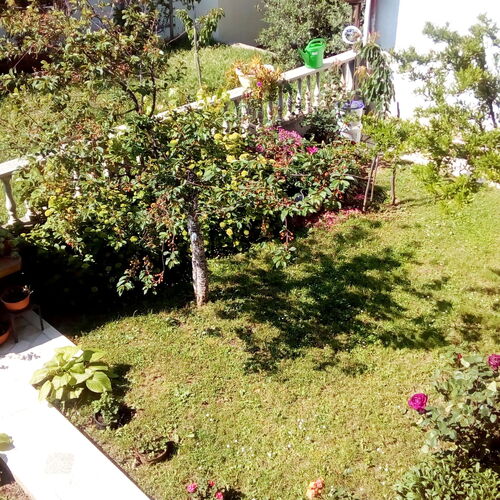 Apartmanok Parkolóhellyel Senj - 7475  3