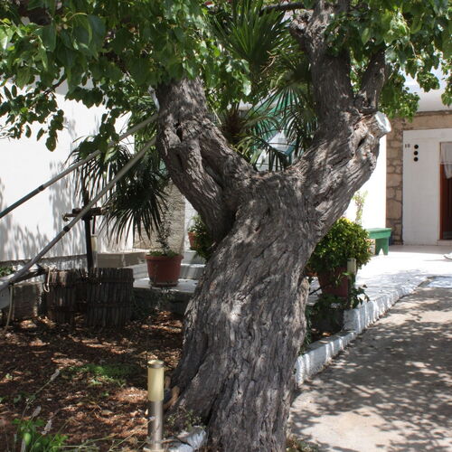 Apartmanok A Tenger Mellett Kali, Ugljan - 8269 Kali  4