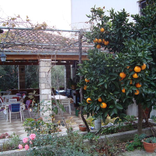 Apartmanok A Tenger Mellett Sladenovici, Dubrovnik - 11531 Slađenovići  3