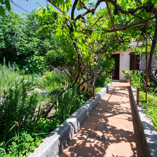 Apartmanok A Tenger Mellett Barbat, Rab - 4977 Barbat  3