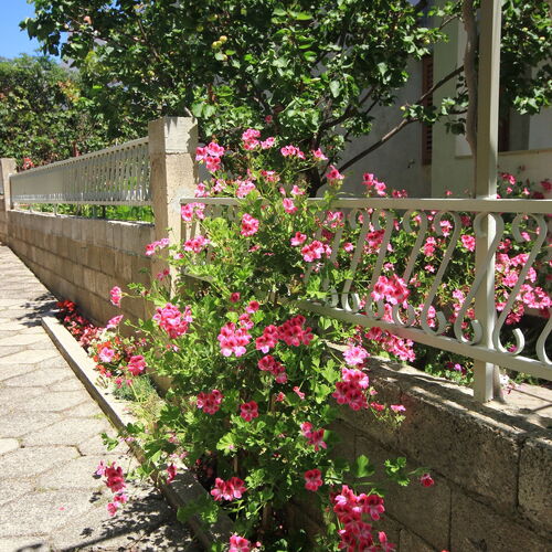 Apartmanok Parkolóhellyel Orebic, Peljesac - 10159 Orebić  3