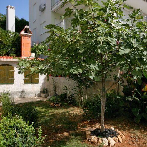 Apartmanok Parkolóhellyel Nemira, Omis - 4652 Nemira  3