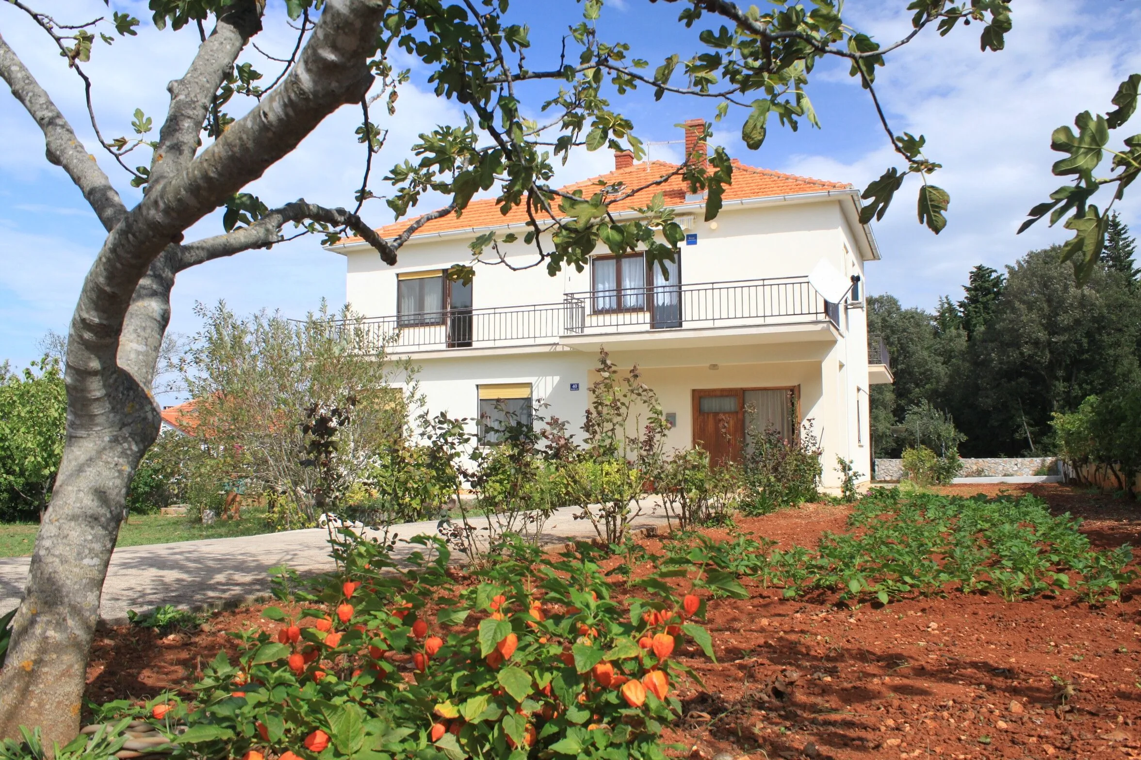 Apartmanok Parkolóhellyel Ugljan - 8493