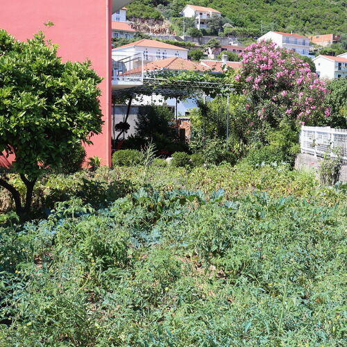 Apartmanok Parkolóhellyel Trpanj, Peljesac - 10148 Trpanj  3