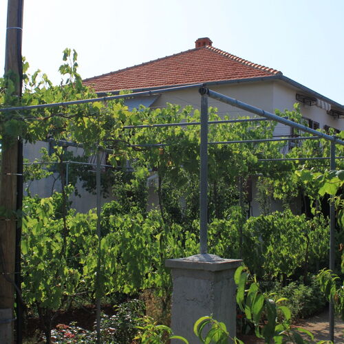 Apartmanok A Tenger Mellett Ugljan - 8264  4