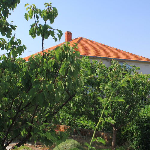 Apartmanok A Tenger Mellett Ugljan - 8264  3