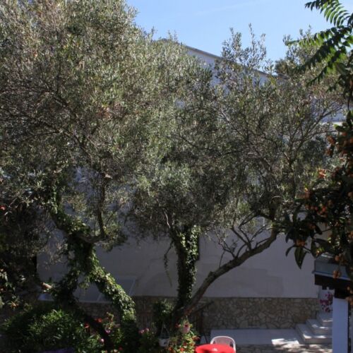 Szobák A Tenger Mellett Veli Losinj, Losinj - 8032 Veli Lošinj  3