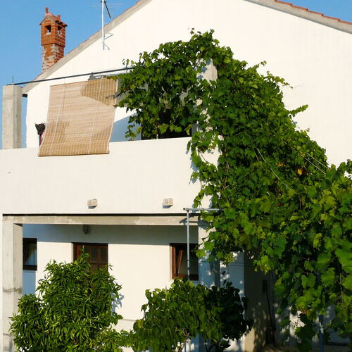 Apartmanok Parkolóhellyel Postira, Brac - 2919 Postira  3