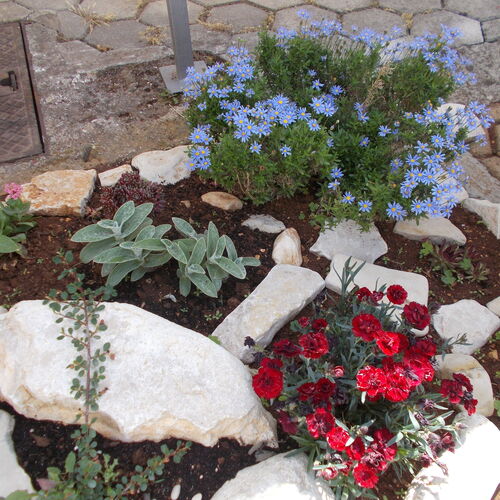 Apartmanok Parkolóhellyel Porec - 7154 Poreč  2
