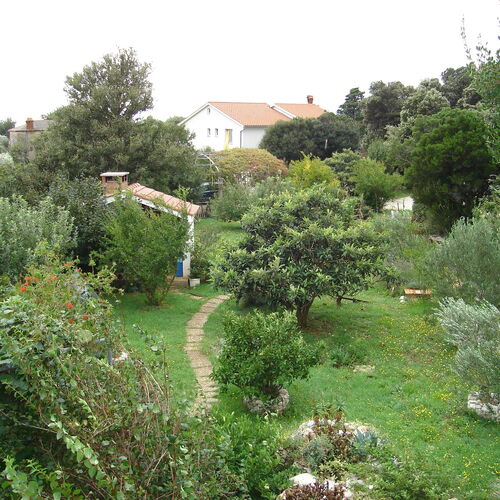 Apartmanok Parkolóhellyel Kampor, Rab - 5014 Kampor  4