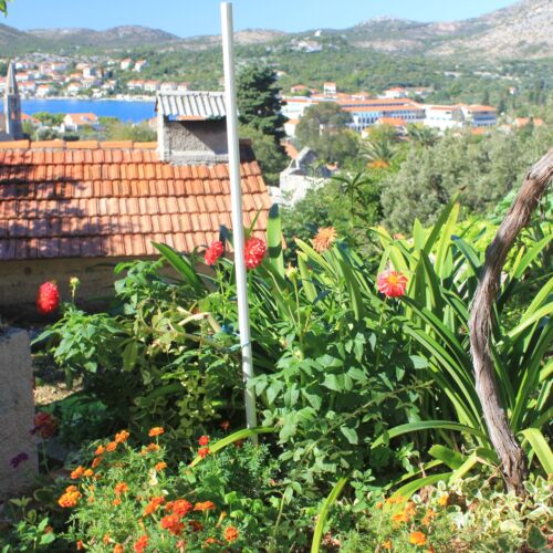Apartmanok Parkolóhellyel Slano, Dubrovnik - 8540 Slano  3