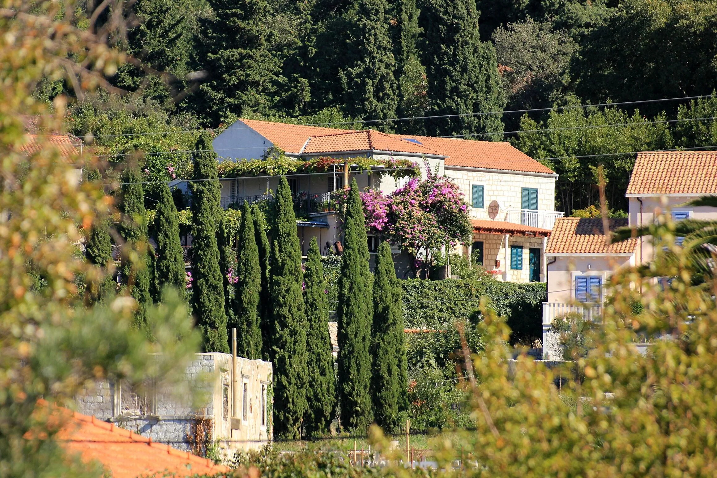 Apartments With Parking Space Slano, Dubrovnik - 8540 Slano