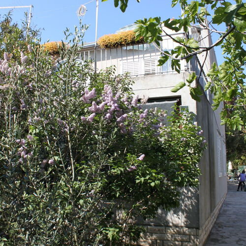 Apartmanok A Tenger Mellett Sukosan, Zadar - 6133 Sukošan  2