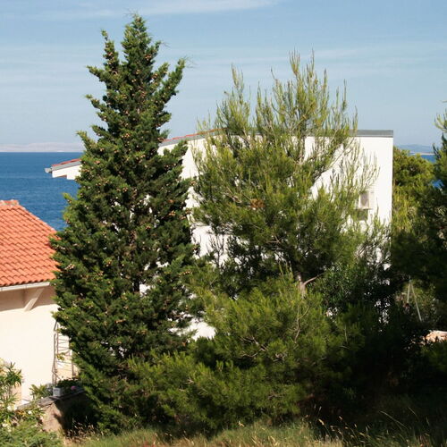 Apartmanok A Tenger Mellett Murter - 5078  3