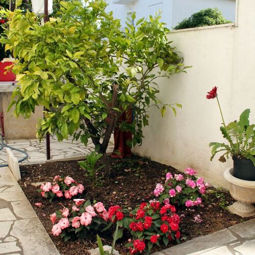 Apartmanok Parkolóhellyel Orebic, Peljesac - 4532 Orebić  3
