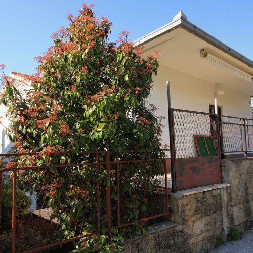 Apartmanok A Tenger Mellett Okrug Gornji, Ciovo - 9469 Okrug Gornji  3