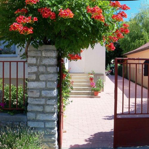 Csókolom Apartman Balatonfüred  2