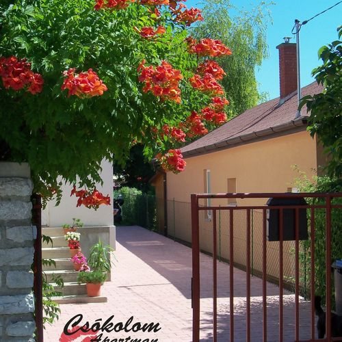Csókolom Apartman Balatonfüred  4