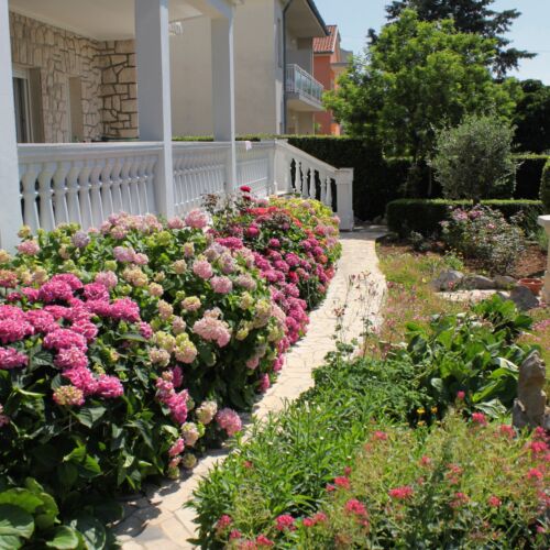 Apartmanok A Tenger Mellett Selce, Crikvenica - 2392 Selce  3