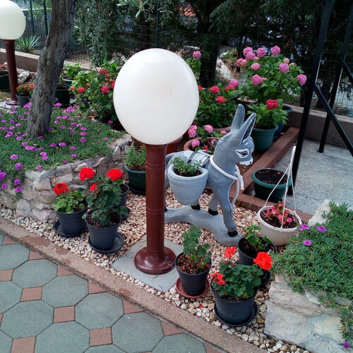 Apartmanok és Szobák Parkolóhellyel Barbat, Rab - 4862 Barbat  3