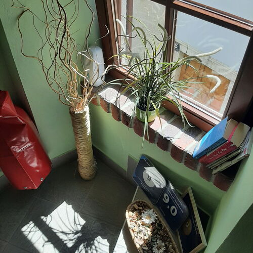 Apartmanok A Tenger Mellett Cres - 13312  4