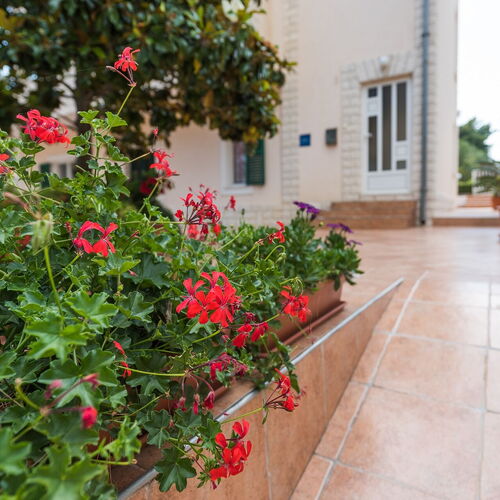 Apartmanok A Tenger Mellett Grebastica, Sibenik - 965 Grebaštica  3