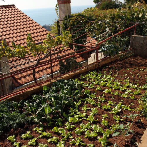 Apartmanok Parkolóhellyel Dubrovnik - 4673  3