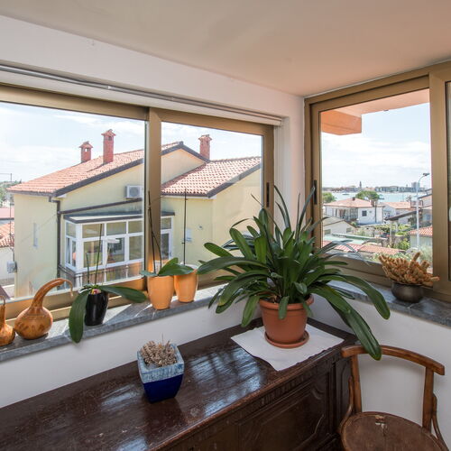 Apartmanok Parkolóhellyel Umag - 2529  3