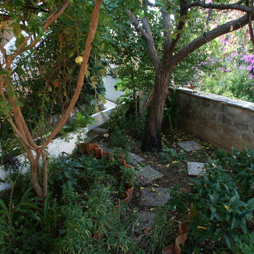 Apartmanok A Tenger Mellett Cavtat, Dubrovnik - 2135 Cavtat  3