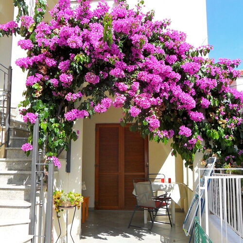 Apartmanok A Tenger Mellett Zadar - Diklo, Zadar - 5767 Zadar - Diklo  4