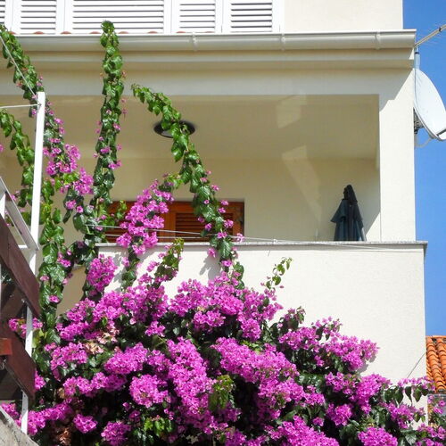 Apartmanok A Tenger Mellett Zadar - Diklo, Zadar - 5767 Zadar - Diklo  3