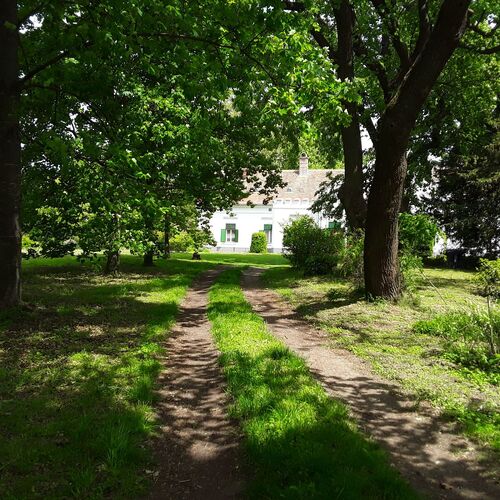 Bejárati út az utcáról