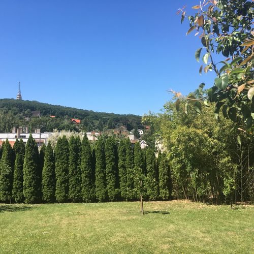 Fonyódomb Vendégház Fonyód  3