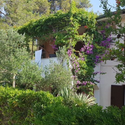 Apartment Lidija Vrboska  2