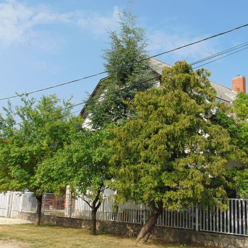 Csokonai Apartman Gyenesdiás  2