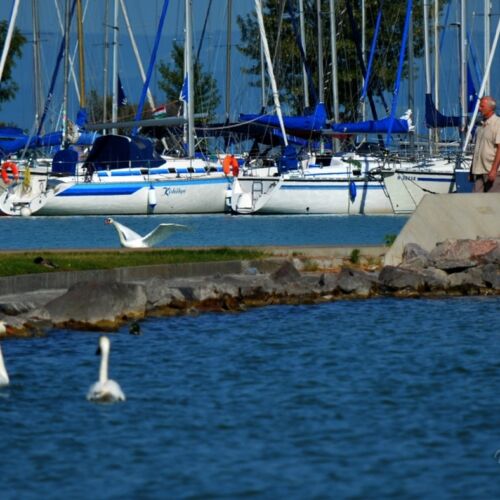 Gréta Medencés Apartman Siófok  3