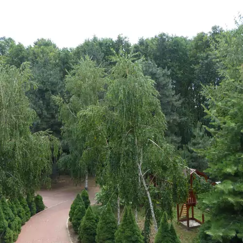 Park7 Panzió Tiszafüred 029 kép